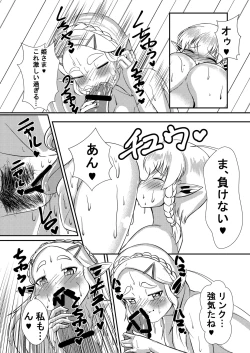 Page 11 of Hime do Yuusha no Hyrule Nichijou