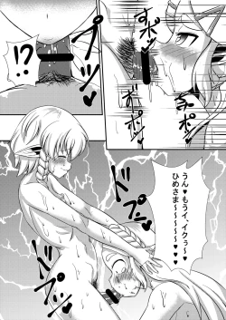 Page 2 of Hime do Yuusha no Hyrule Nichijou