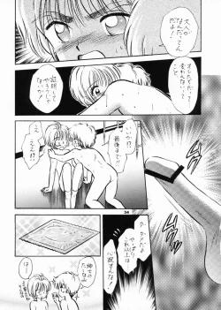 Page 33 of INTRODUCTION