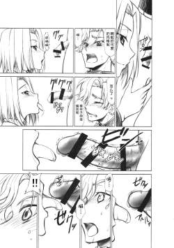 Page 16 of CODE EROSS R2