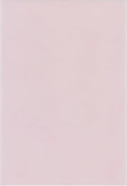 Page 4 of Hikari Mania