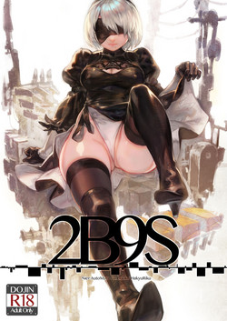 Download 2B9S