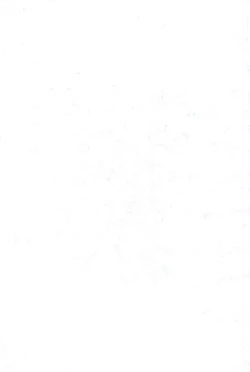 Page 3 of Beach Parasol Soushuuhen