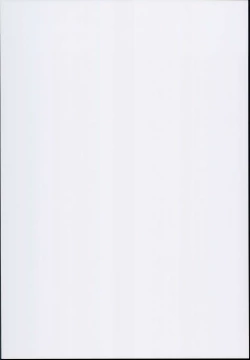 Page 2 of Asashio Burger Meshiagare