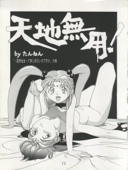 Page 25 of Tenchi Muyo! SAMPLE Vol. 6