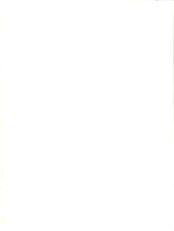 Page 2 of Submission Sailor Stars