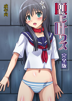 Download Negai Kanawazu Kanzenban