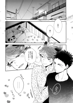 Page 19 of Iwachan no Neko ni Naritai 6