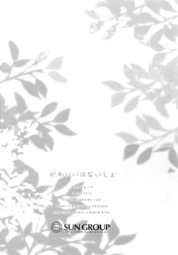 Page 29 of Kawaii wa Naisho