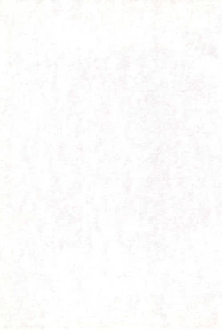 Page 3 of Kaiketsu Punitto!