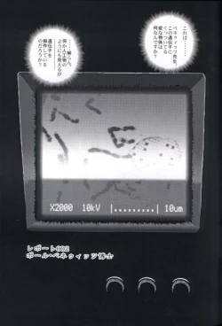 Page 20 of Dulce Report 1