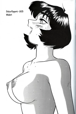 Page 28 of Dulce Report 1