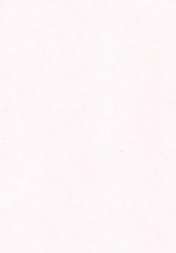 Page 26 of Gohoushi Cinderella Third