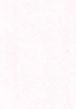 Page 3 of Gohoushi Cinderella Third