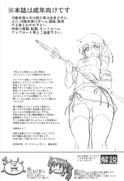 Page 2 of IT Shoujo N Tokubetsuhen 9 Nori Ske Fantasia