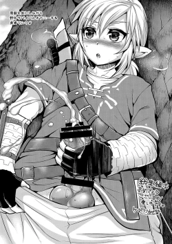 Page 104 of Futanari Zelda Soushuuhen