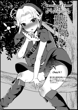 Page 112 of Futanari Zelda Soushuuhen