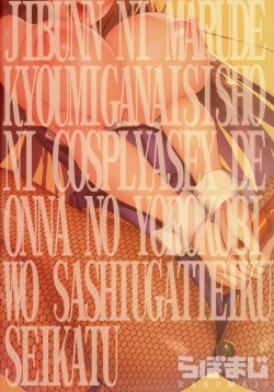 Page 23 of Jibun ni Marude Kyoumi ga Nai Shishou ni Cosplay SEX de Onna no Yorokobi o Sashiugatteiku Seikatsu