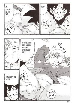 Page 14 of Episode of Bulma