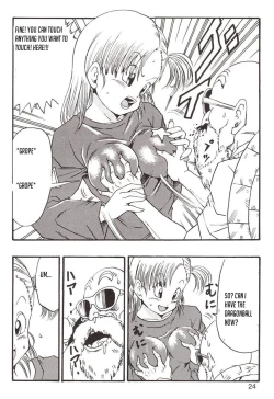 Page 24 of Episode of Bulma