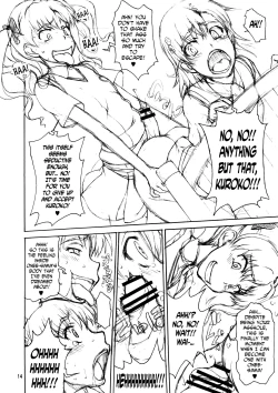 Page 14 of Oneesama Kanzen Kouryaku Photo Album