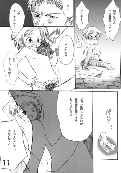 Page 10 of Tsurupeta Kenkyuusho Houkokusho