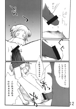 Page 11 of Tsurupeta Kenkyuusho Houkokusho