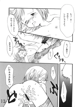 Page 12 of Tsurupeta Kenkyuusho Houkokusho