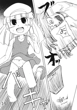 Page 18 of Tsurupeta Kenkyuusho Houkokusho