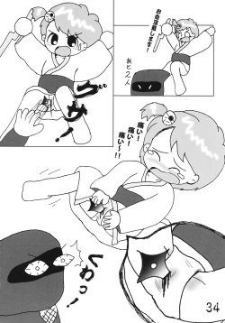 Page 33 of Tsurupeta Kenkyuusho Houkokusho