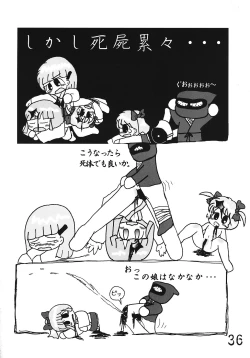 Page 35 of Tsurupeta Kenkyuusho Houkokusho