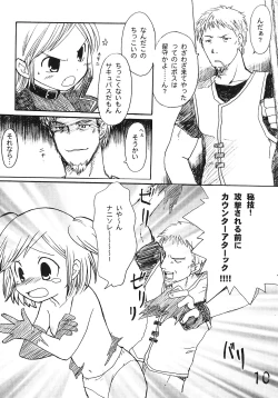 Page 9 of Tsurupeta Kenkyuusho Houkokusho