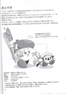 Page 29 of Kamen no Shita ni Kakushita Honne | 面具下的真心话