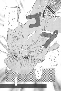 Page 45 of Futago no Himegoto