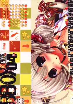 Page 16 of BBox.C-Plus 04