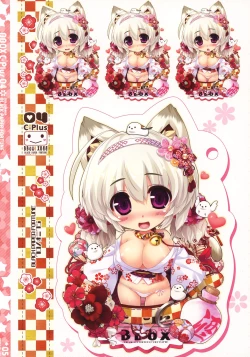 Page 4 of BBox.C-Plus 04