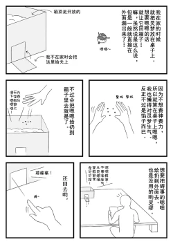 Page 6 of pet reimu（Chinese）