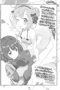 Page 12 of Limitter SC76