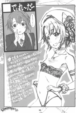 Page 15 of Limitter SC76