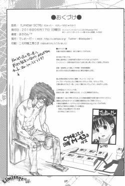 Page 17 of Limitter SC76