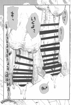 Page 7 of Limitter SC76