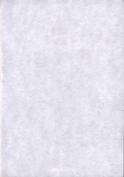 Page 3 of Bleach Kawaii Hito - Cute Person