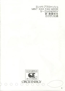 Page 4 of Minto Buramyanshu