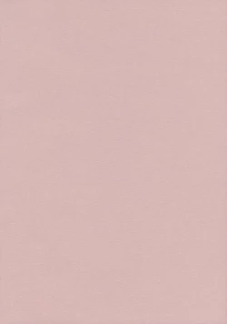 Page 3 of Lunchi Pack