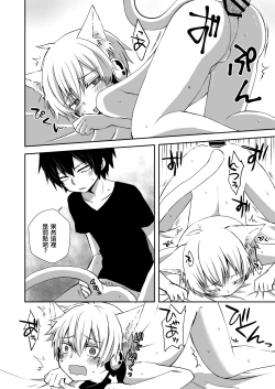 Page 14 of Neko Konoha no Jijiou