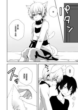 Page 4 of Neko Konoha no Jijiou