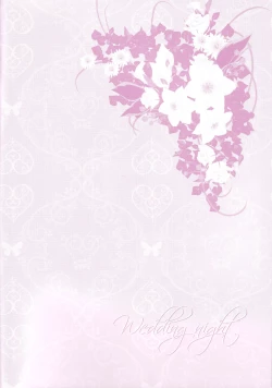 Page 2 of Wedding night