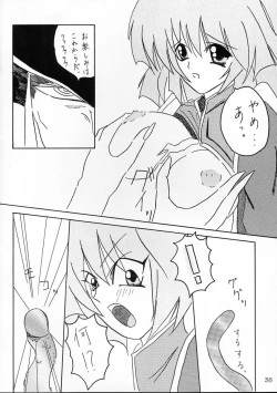 Page 35 of Comike de Seisen Vol. 9