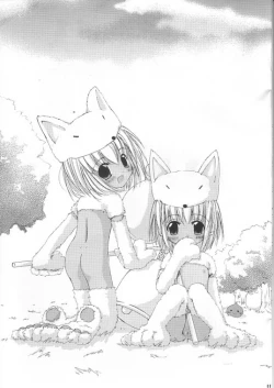 Page 11 of D.L. action 12