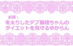 Page 18 of Touhou Pragmatizer Sono 10